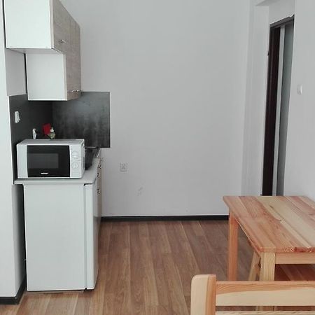 Pokoje Typu Studio Sosnowiec Exterior foto